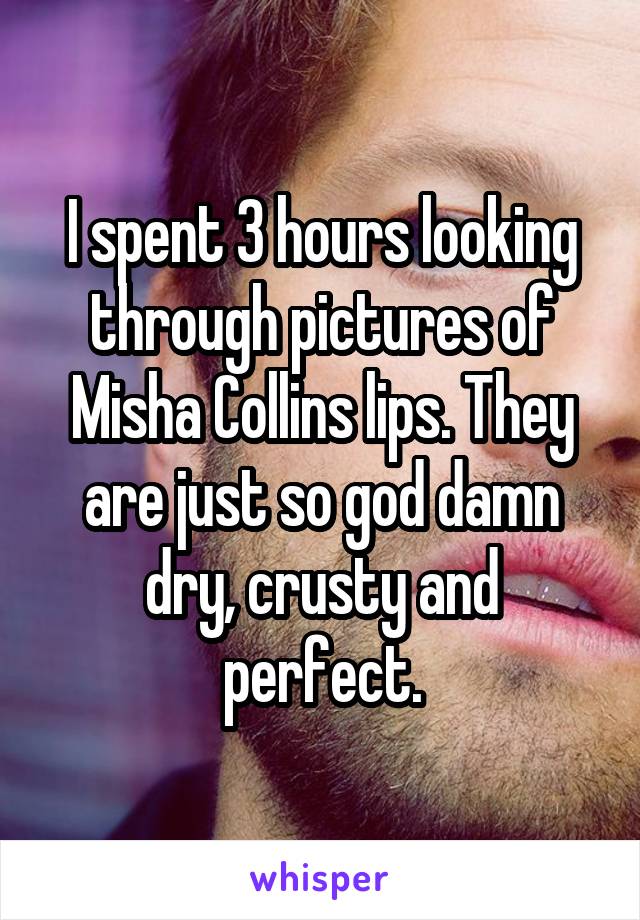 I spent 3 hours looking through pictures of Misha Collins lips. They are just so god damn dry, crusty and perfect.