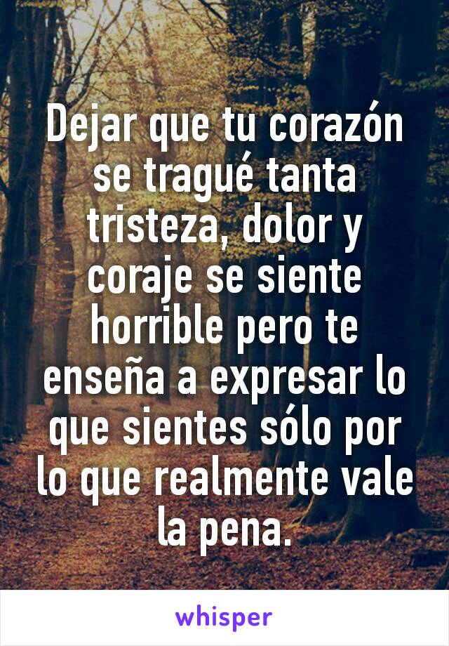 Dejar que tu corazón se tragué tanta tristeza, dolor y coraje se siente horrible pero te enseña a expresar lo que sientes sólo por lo que realmente vale la pena.