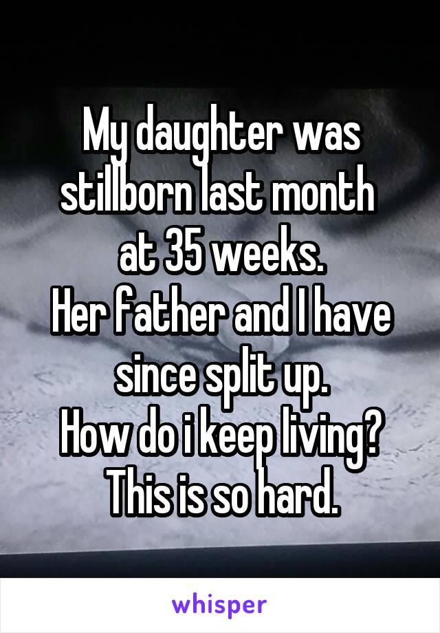 My daughter was stillborn last month 
at 35 weeks.
Her father and I have since split up.
How do i keep living?
This is so hard.