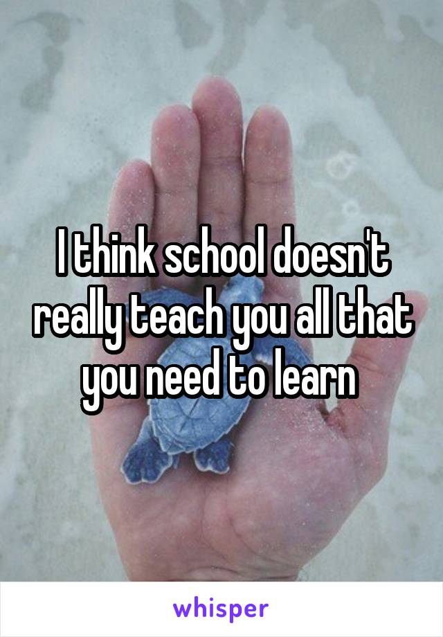 I think school doesn't really teach you all that you need to learn 