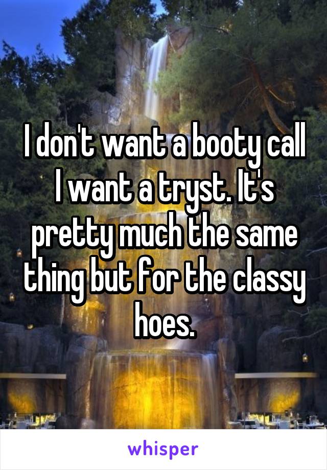 I don't want a booty call I want a tryst. It's pretty much the same thing but for the classy hoes.