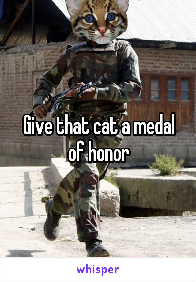 Give that cat a medal of honor