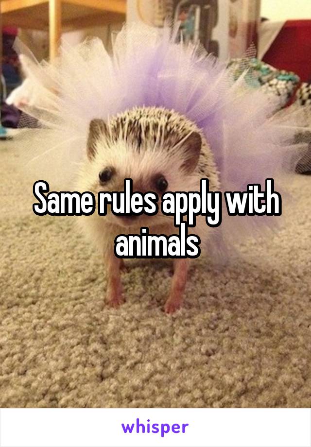 Same rules apply with animals