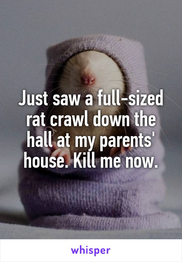 Just saw a full-sized rat crawl down the hall at my parents' house. Kill me now.