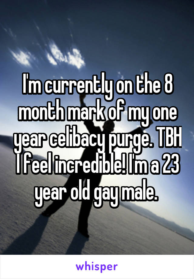 I'm currently on the 8 month mark of my one year celibacy purge. TBH I feel incredible! I'm a 23 year old gay male. 