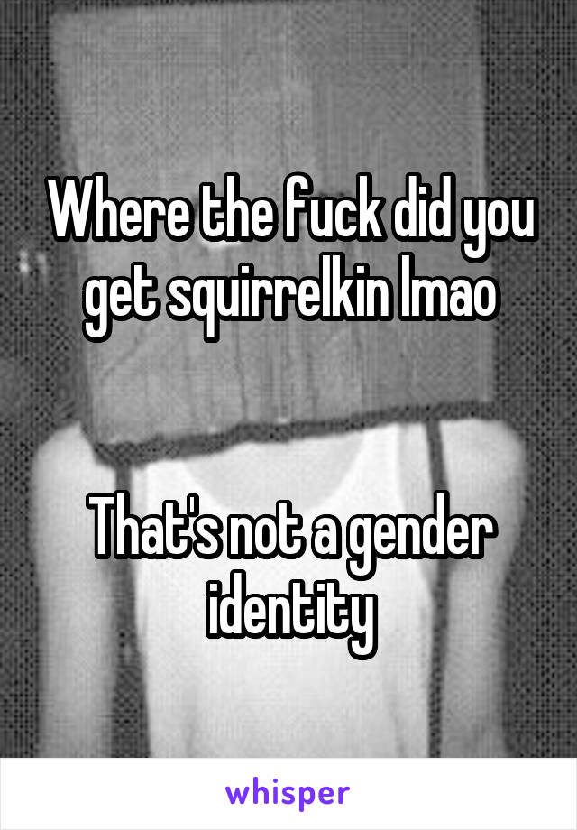 Where the fuck did you get squirrelkin lmao


That's not a gender identity