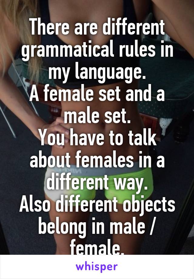 There are different grammatical rules in my language.
A female set and a male set.
You have to talk about females in a different way.
Also different objects belong in male / female.