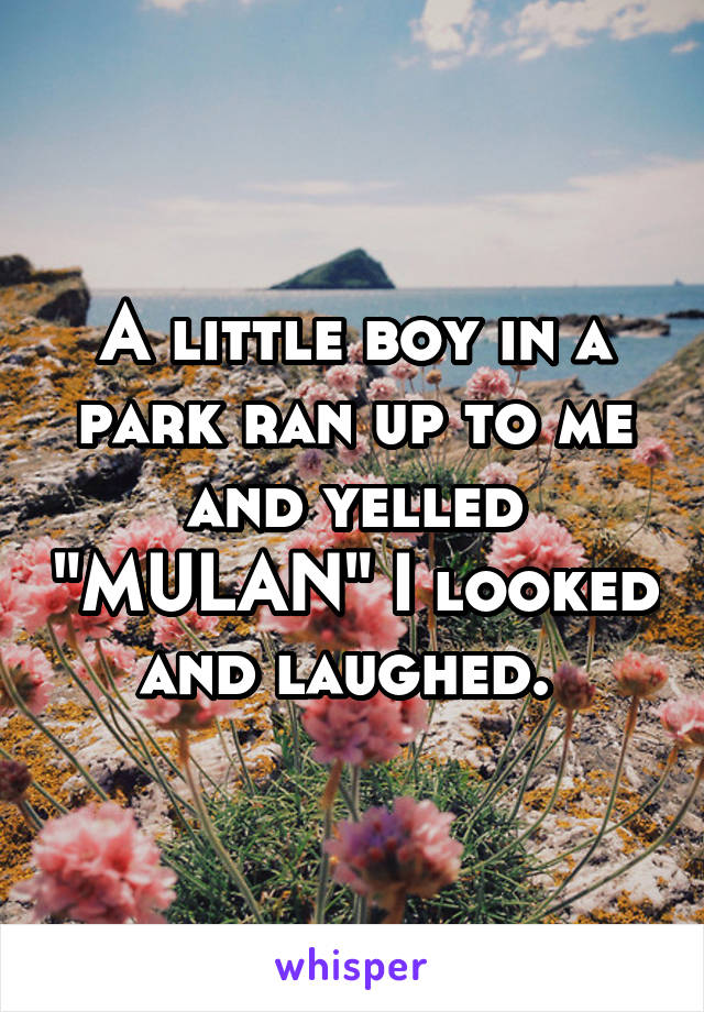 A little boy in a park ran up to me and yelled "MULAN" I looked and laughed. 
