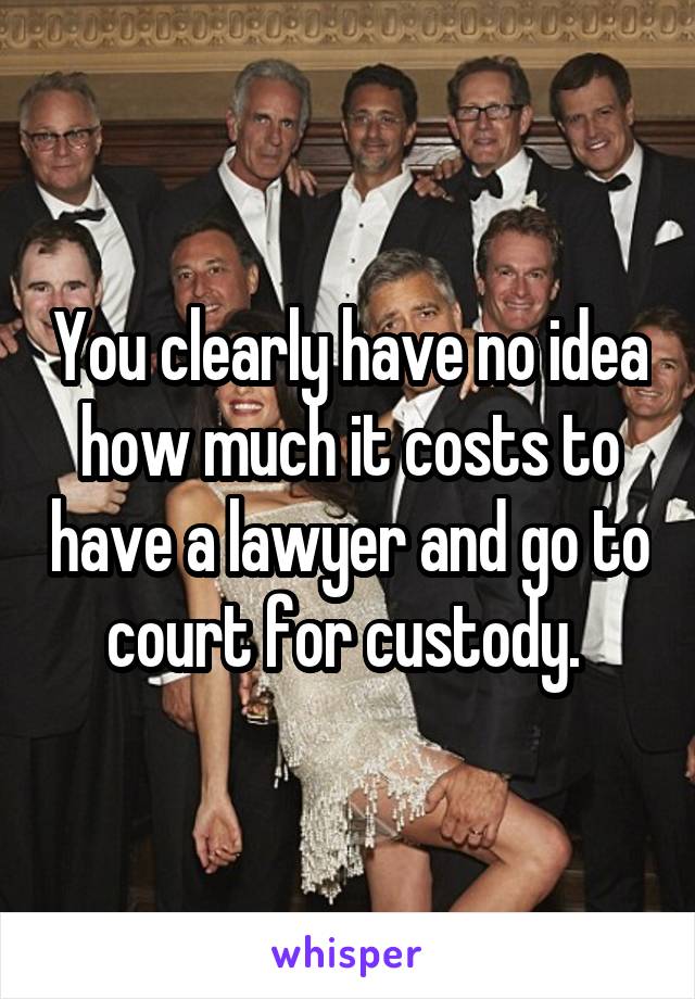 You clearly have no idea how much it costs to have a lawyer and go to court for custody. 