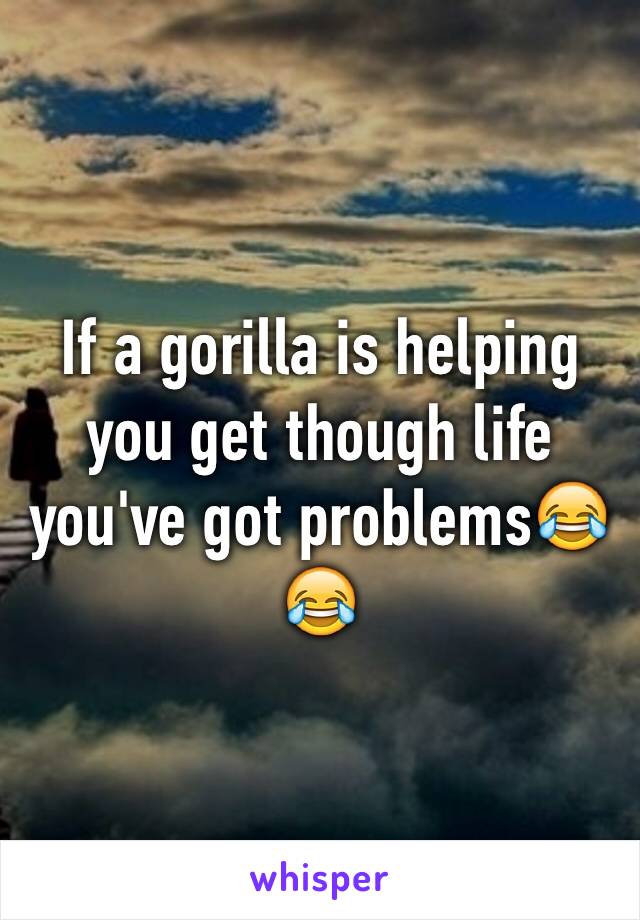 If a gorilla is helping you get though life you've got problems😂😂