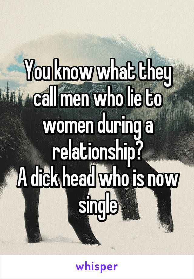 You know what they call men who lie to women during a relationship?
A dick head who is now single