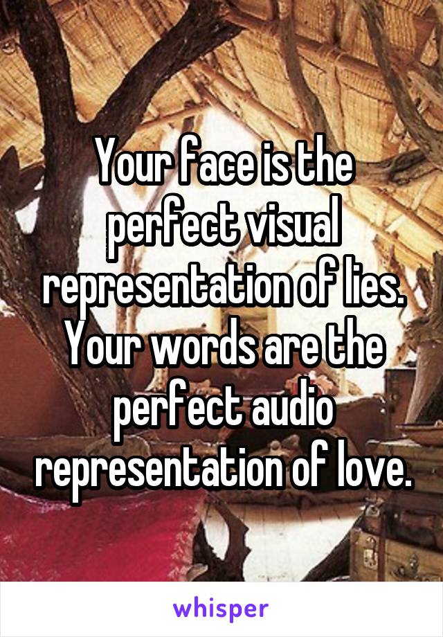 Your face is the perfect visual representation of lies.
Your words are the perfect audio representation of love.