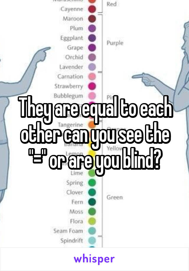 They are equal to each other can you see the "=" or are you blind?