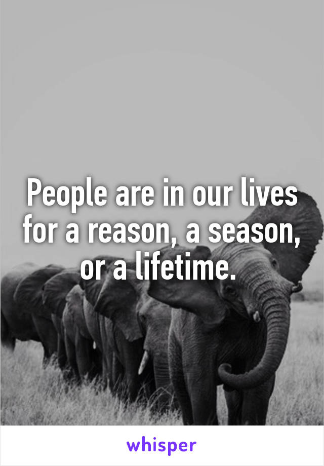 People are in our lives for a reason, a season, or a lifetime. 