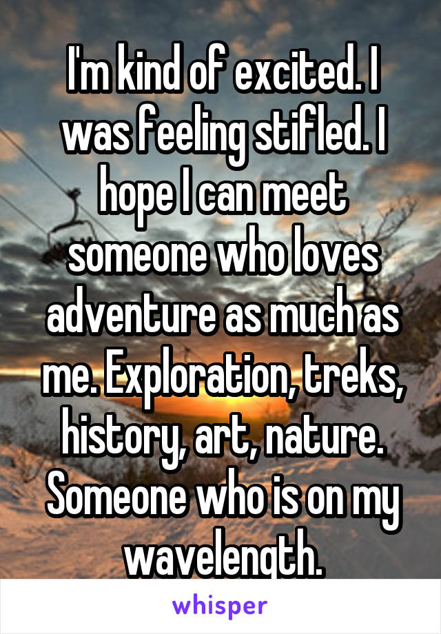 I'm kind of excited. I was feeling stifled. I hope I can meet someone who loves adventure as much as me. Exploration, treks, history, art, nature. Someone who is on my wavelength.