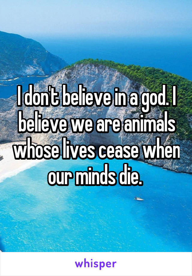 I don't believe in a god. I believe we are animals whose lives cease when our minds die. 