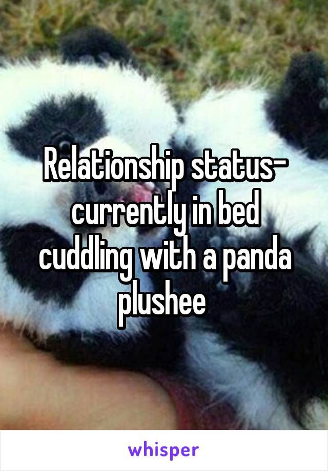 Relationship status- currently in bed cuddling with a panda plushee 