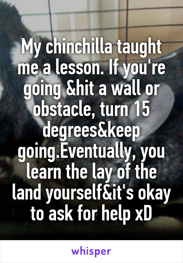 My chinchilla taught me a lesson. If you're going &hit a wall or obstacle, turn 15 degrees&keep going.Eventually, you learn the lay of the land yourself&it's okay to ask for help xD