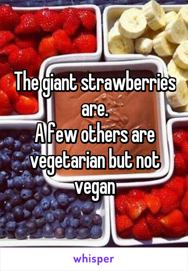 The giant strawberries are.
A few others are vegetarian but not vegan