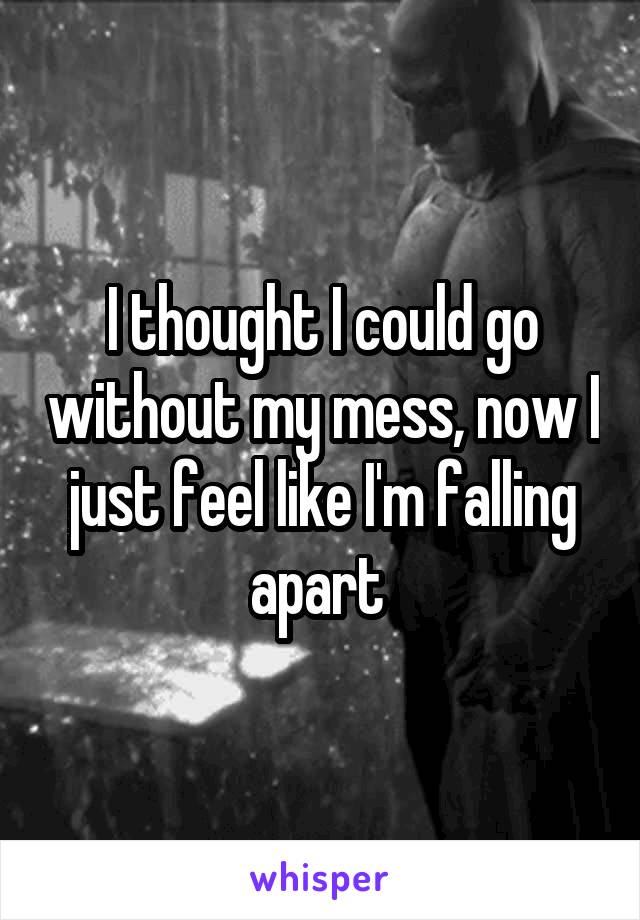 I thought I could go without my mess, now I just feel like I'm falling apart 