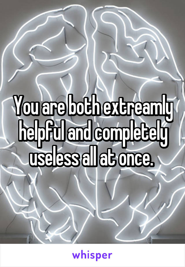 You are both extreamly helpful and completely useless all at once. 