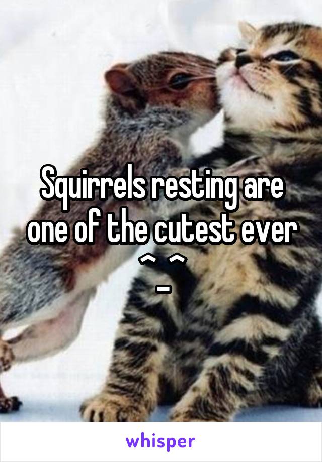 Squirrels resting are one of the cutest ever ^_^