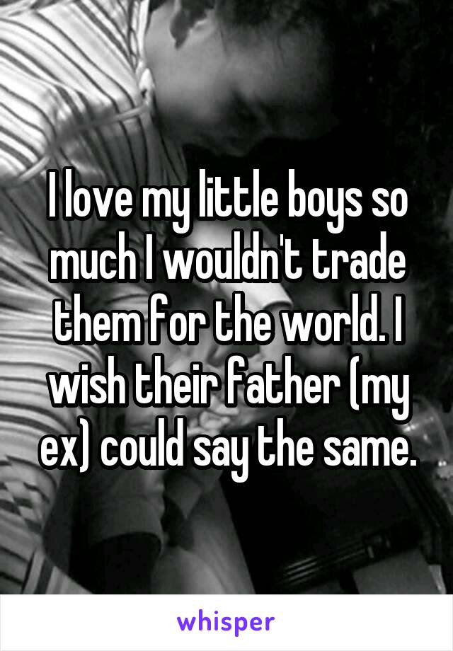 I love my little boys so much I wouldn't trade them for the world. I wish their father (my ex) could say the same.