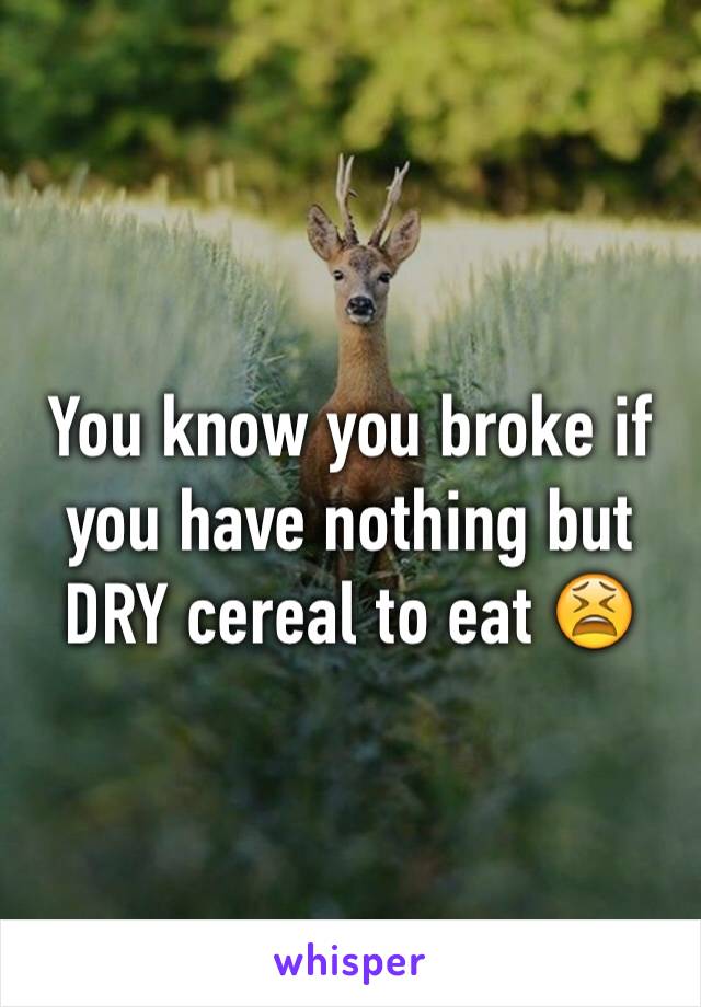 You know you broke if you have nothing but DRY cereal to eat 😫