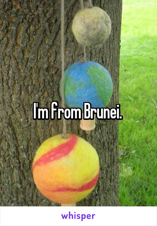 I'm from Brunei. 