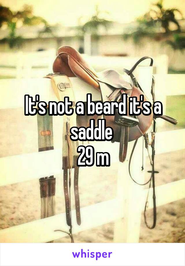 It's not a beard it's a saddle 
29 m