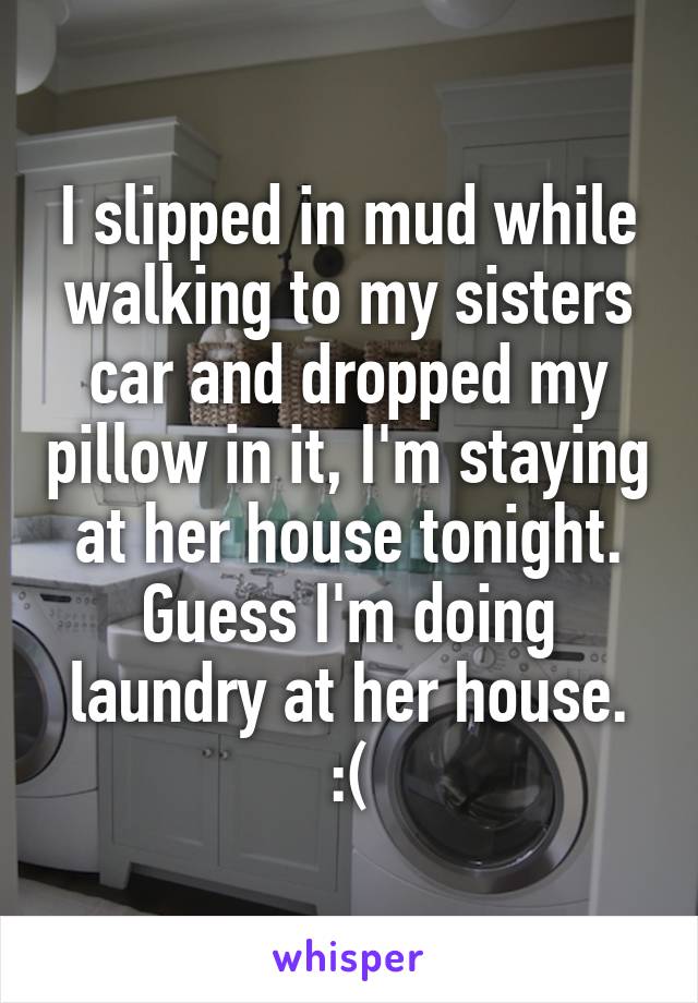 I slipped in mud while walking to my sisters car and dropped my pillow in it, I'm staying at her house tonight. Guess I'm doing laundry at her house. :(