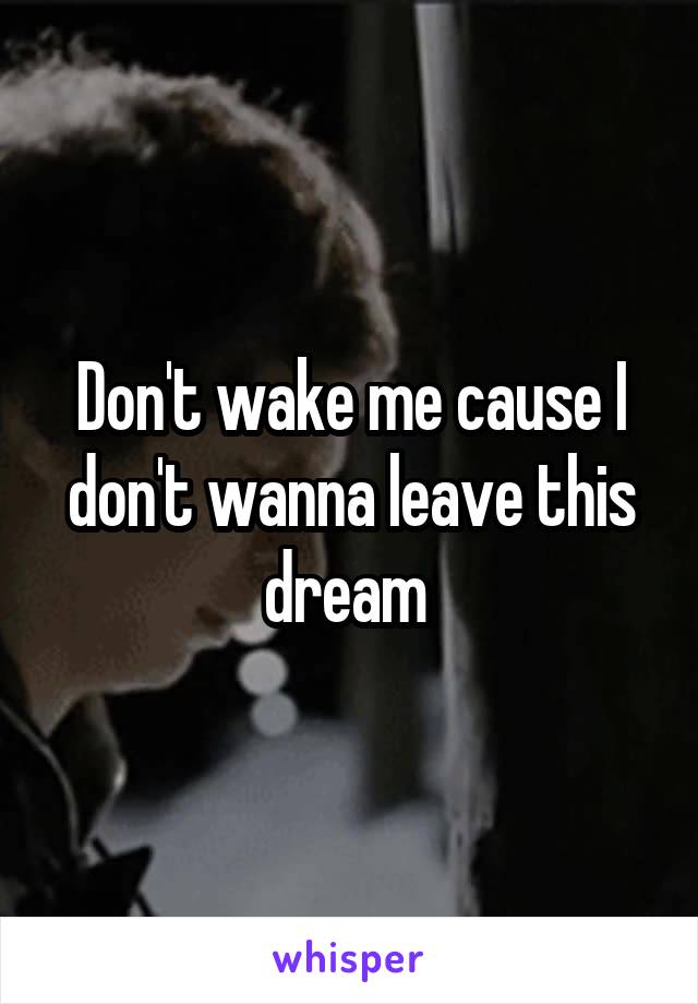 Don't wake me cause I don't wanna leave this dream 