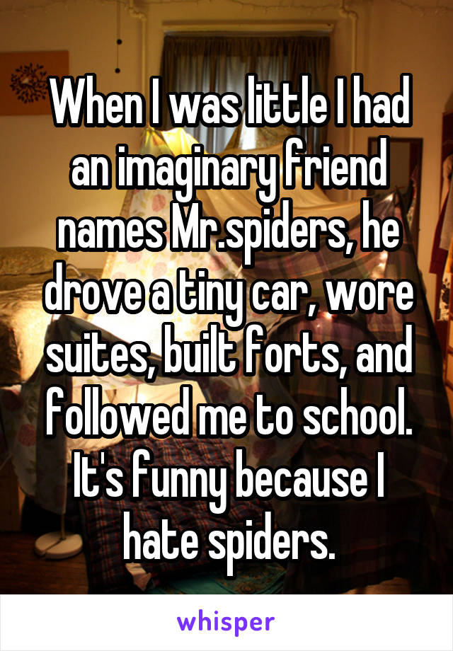 When I was little I had an imaginary friend names Mr.spiders, he drove a tiny car, wore suites, built forts, and followed me to school. It's funny because I hate spiders.