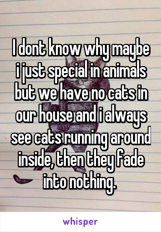 I dont know why maybe i just special in animals but we have no cats in our house and i always see cats running around inside, then they fade into nothing. 