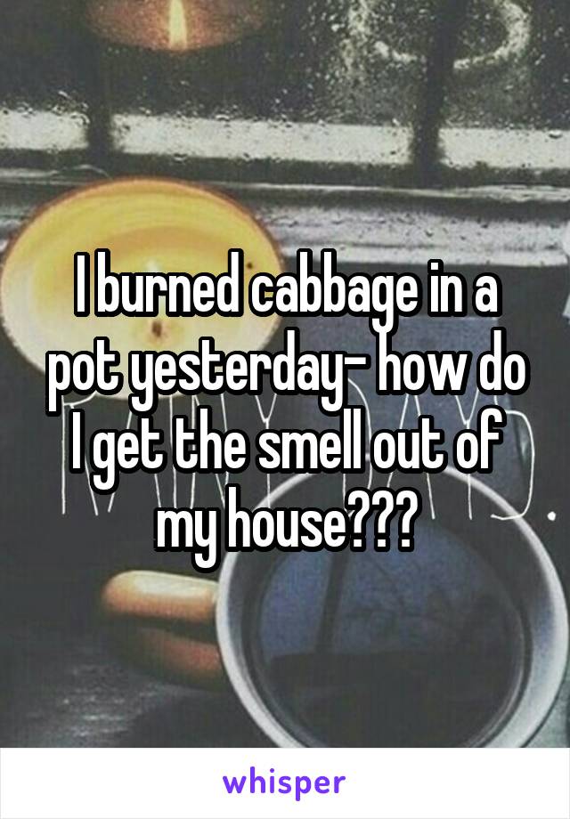 I burned cabbage in a pot yesterday- how do I get the smell out of my house???