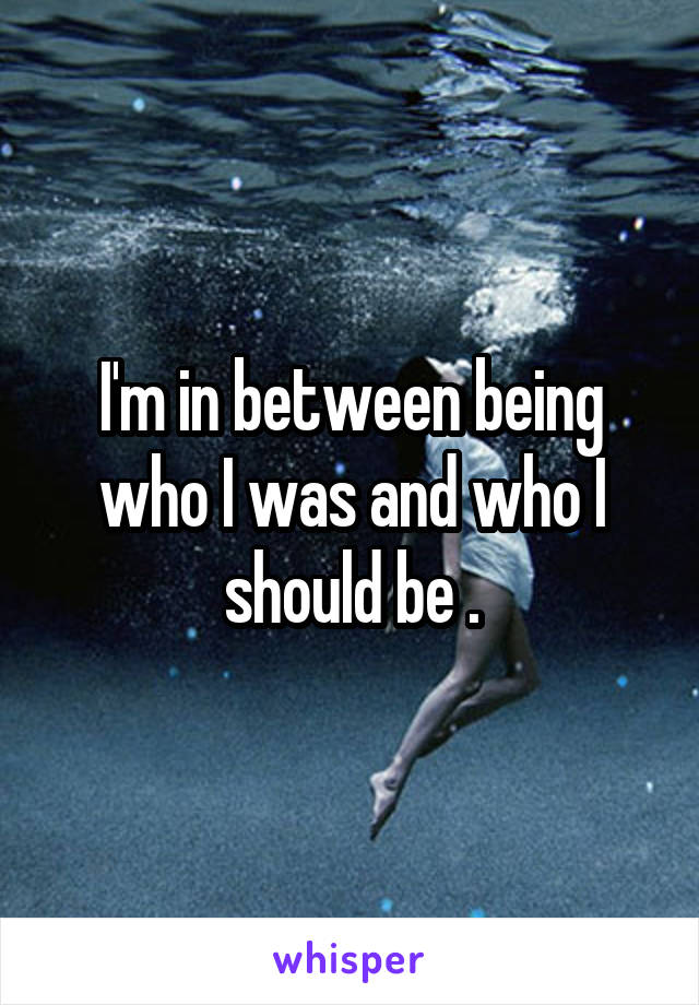 I'm in between being who I was and who I should be .