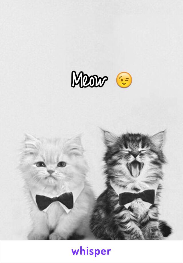 Meow 😉