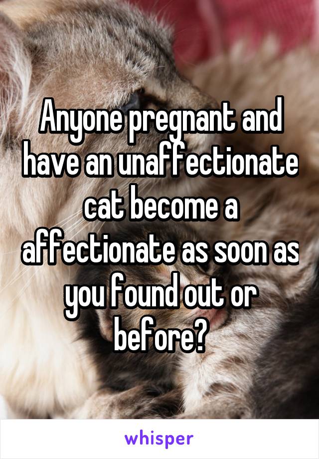 Anyone pregnant and have an unaffectionate cat become a affectionate as soon as you found out or before?