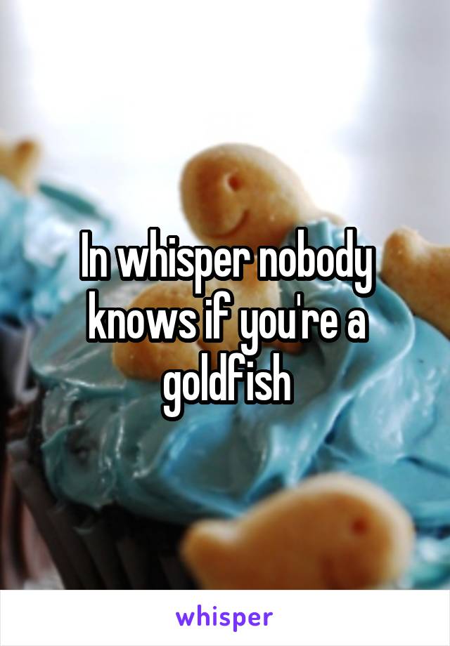 In whisper nobody knows if you're a goldfish