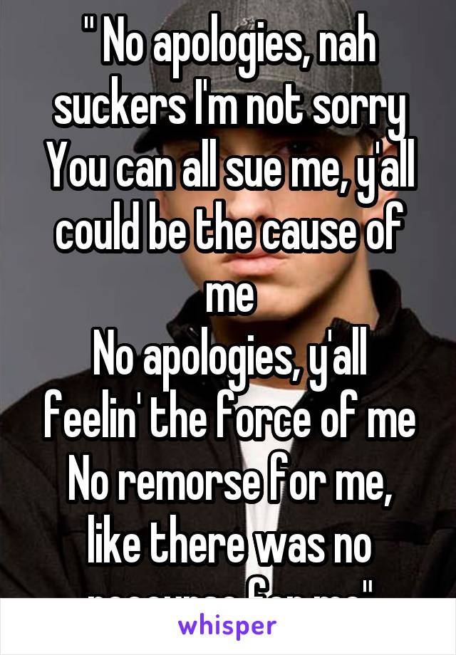 " No apologies, nah suckers I'm not sorry
You can all sue me, y'all could be the cause of me
No apologies, y'all feelin' the force of me
No remorse for me, like there was no recourse for me"