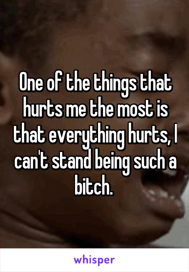 One of the things that hurts me the most is that everything hurts, I can't stand being such a bitch. 