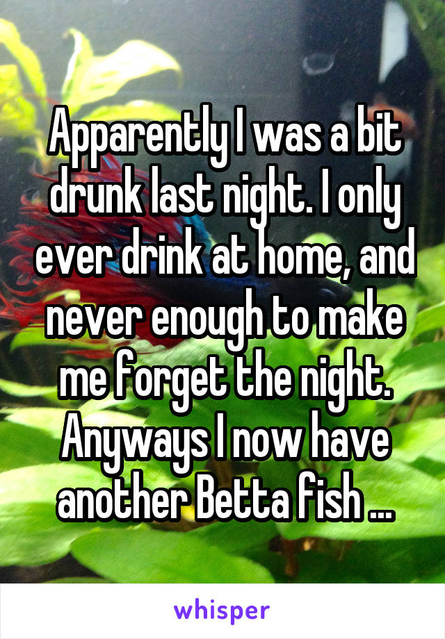 Apparently I was a bit drunk last night. I only ever drink at home, and never enough to make me forget the night. Anyways I now have another Betta fish ...