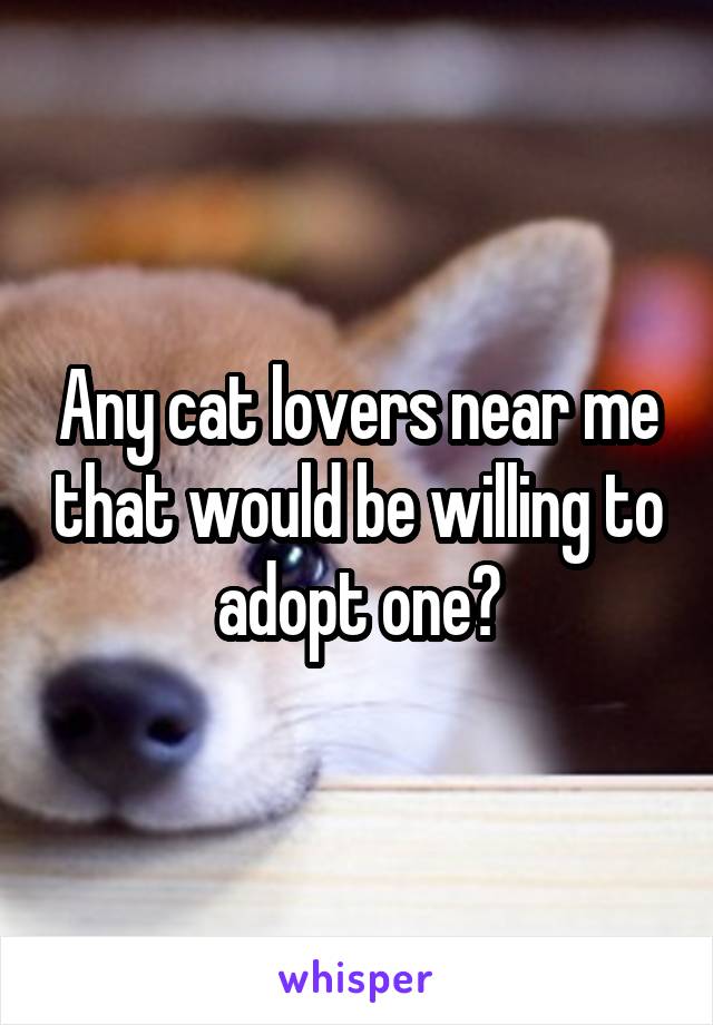 Any cat lovers near me that would be willing to adopt one?