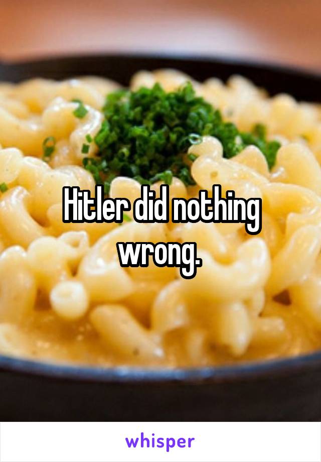 Hitler did nothing wrong. 