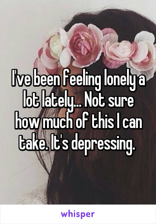 I've been feeling lonely a lot lately... Not sure how much of this I can take. It's depressing. 