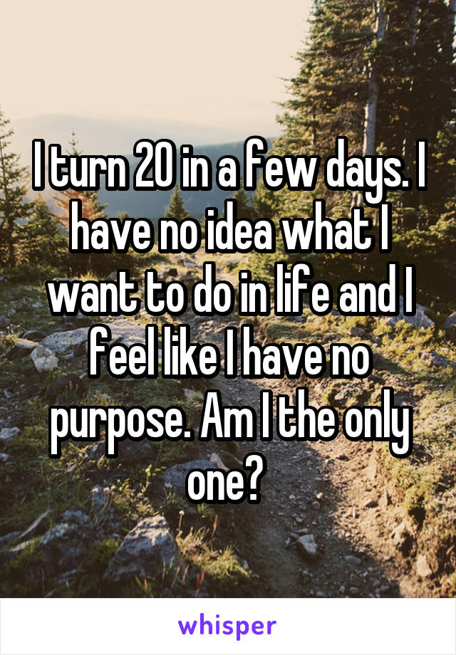 I turn 20 in a few days. I have no idea what I want to do in life and I feel like I have no purpose. Am I the only one? 