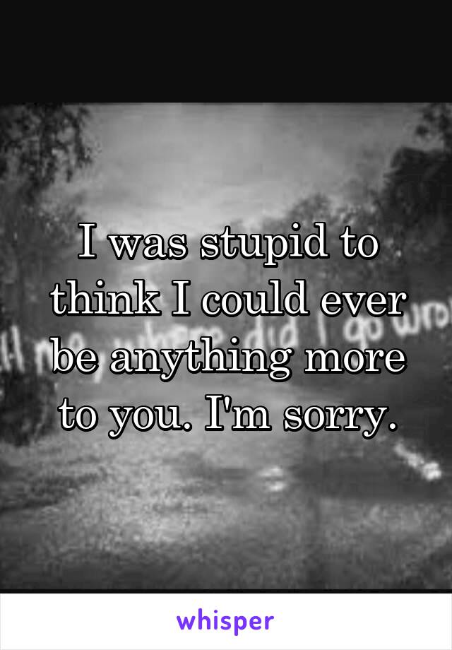 I was stupid to think I could ever be anything more to you. I'm sorry.