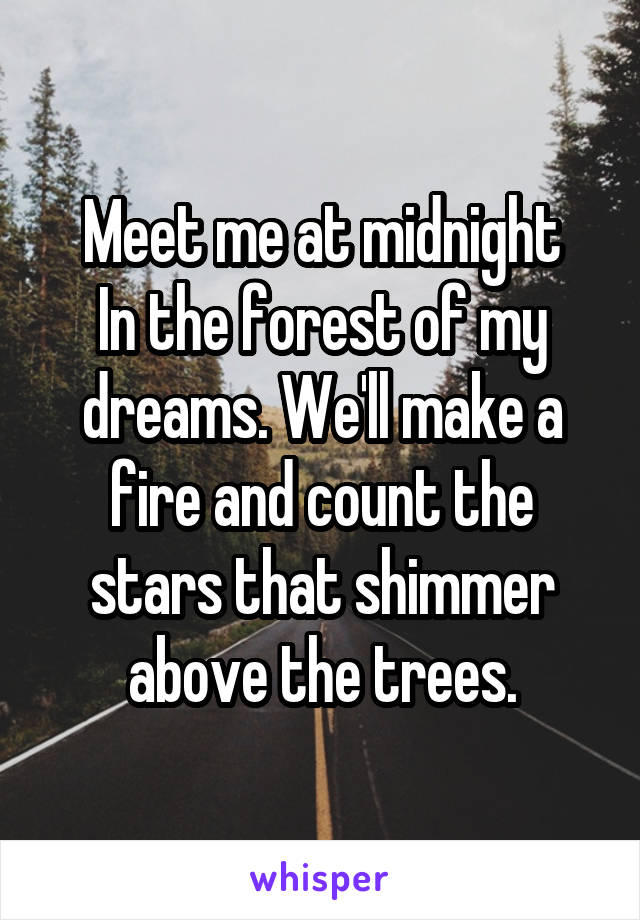 Meet me at midnight
In the forest of my dreams. We'll make a fire and count the stars that shimmer above the trees.