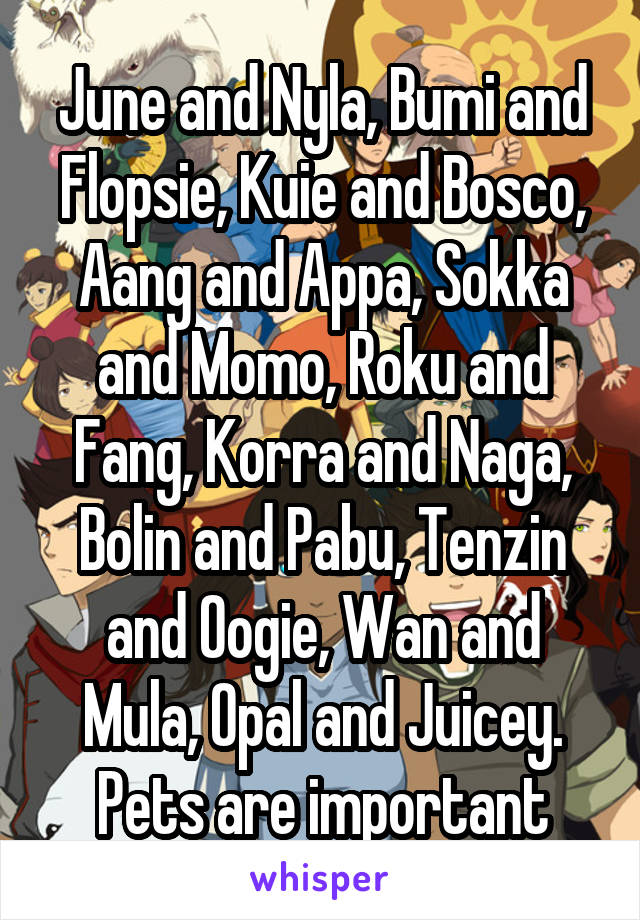 June and Nyla, Bumi and Flopsie, Kuie and Bosco, Aang and Appa, Sokka and Momo, Roku and Fang, Korra and Naga, Bolin and Pabu, Tenzin and Oogie, Wan and Mula, Opal and Juicey. Pets are important