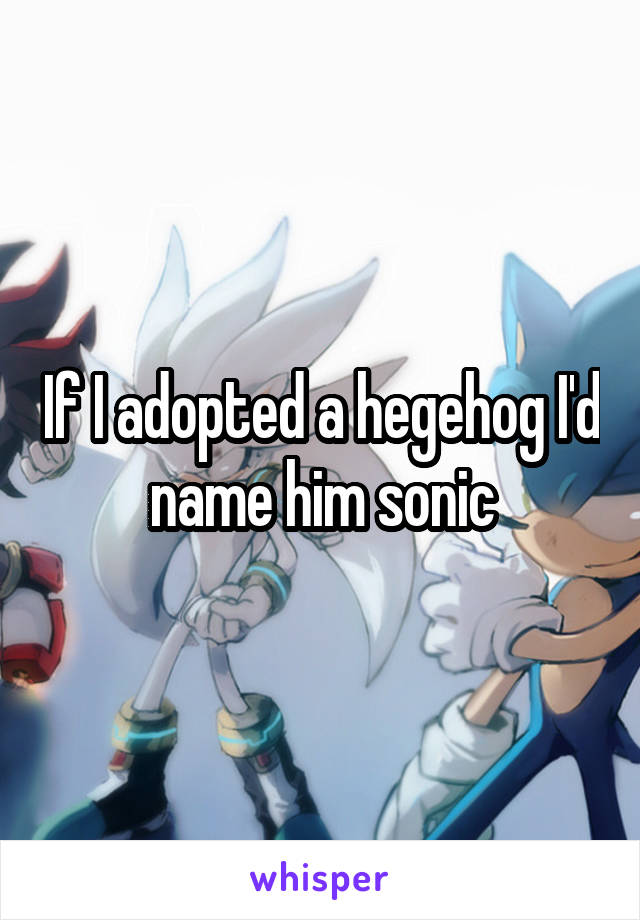 If I adopted a hegehog I'd name him sonic